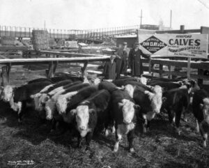 Matador Ranch History