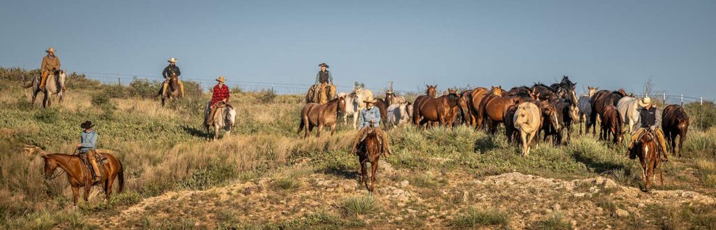 Matador Ranch Horses Group