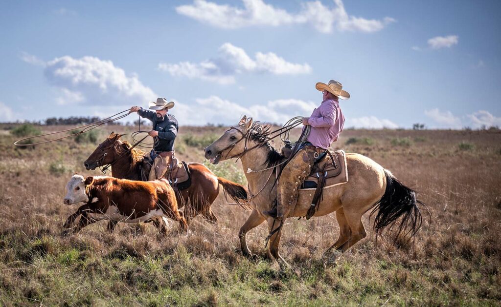 Matador Ranch Roping